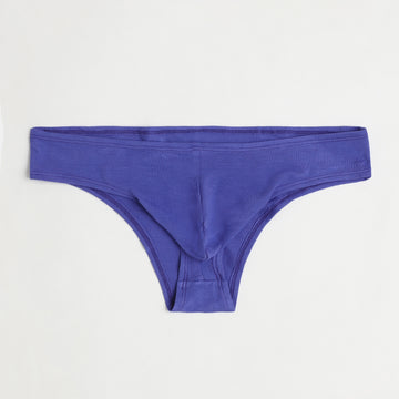 Sweet Spot Regular Fit Solid Bikini for Men (Blue Iris)